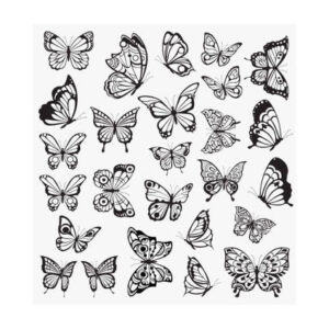 Butterfly transparent